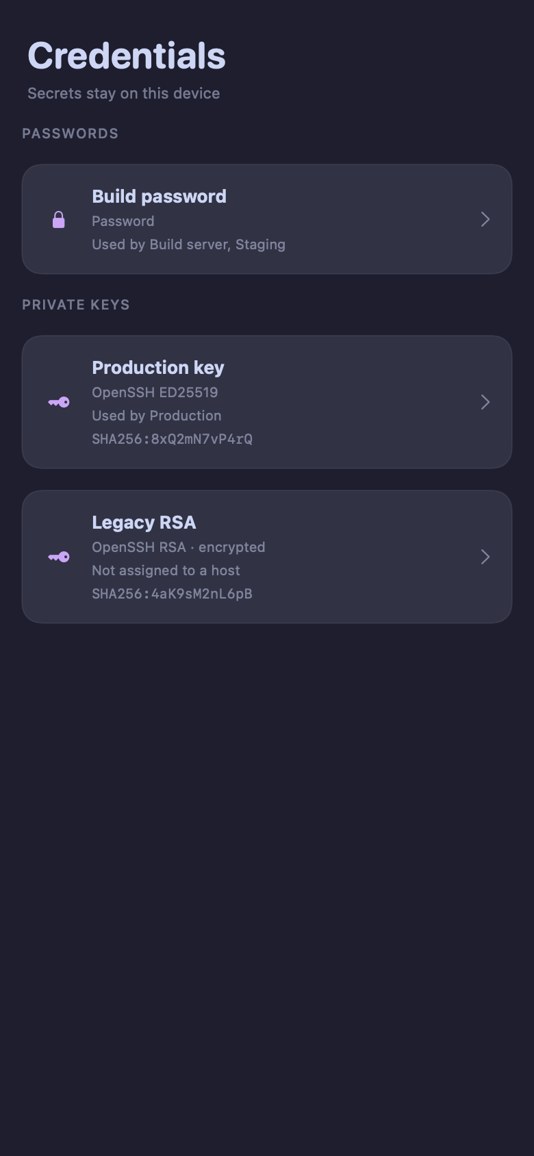 AFK for iOS showing locally stored credential metadata